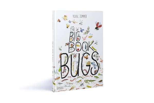 En vakkert illustrert informativ bok for barn som introduserer dem for insekter som kryper, kravler, biter, flyr og mer.