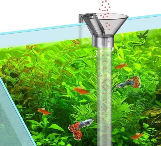 Akvariefoderrør 21 cm – Foder til fisk og rejer – Akryl foderrør – Akvarietilbehør – Inkluderer foderskål, foderring og rengøringsbørste