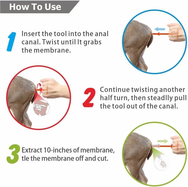 Butt Out Tool - Tilbehør til vildtbehandling af hjorte til stort vildt, husdyr, analrensning, bærbart jagtudstyr til udendørs brug, 3 stk.