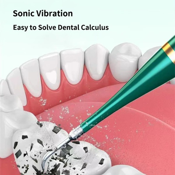 Smart Sonic Dental Scaler Elektriska tandborstar USB Uppladdningsbara Vuxna Tandborste Dental Calculus Remover Tips Tandborsthuvuden