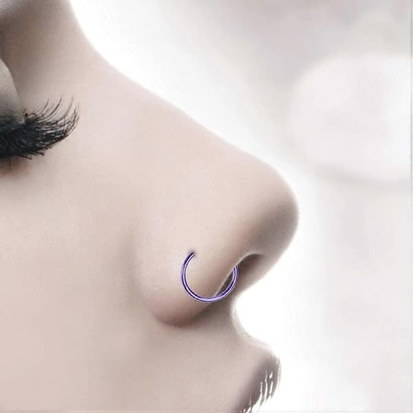2 stk. Unisex Kirurgisk Stål Hængslet Klikker Segment Næseringe Bøjle Helix Brusk Øreringe Titanium Stål Kropspiercing Stud, Sort Purple