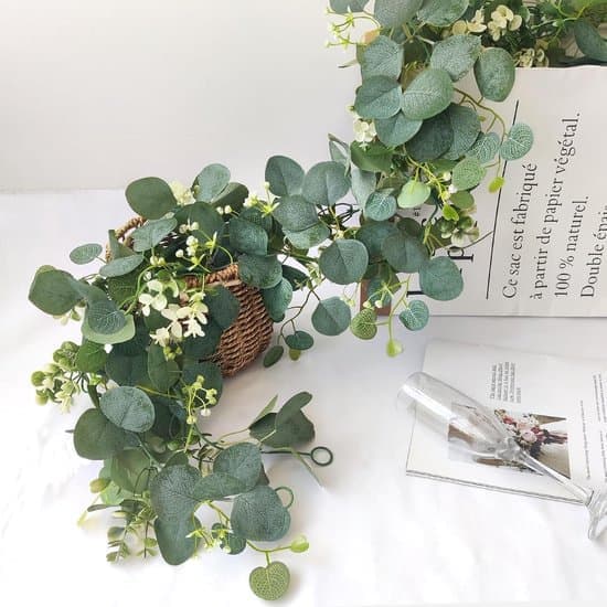 Kunstig plantedekorasjon - Eukalyptuskrans - 1,8 meter med grønne blader og hvite blomster - Grønn - 2 stk
