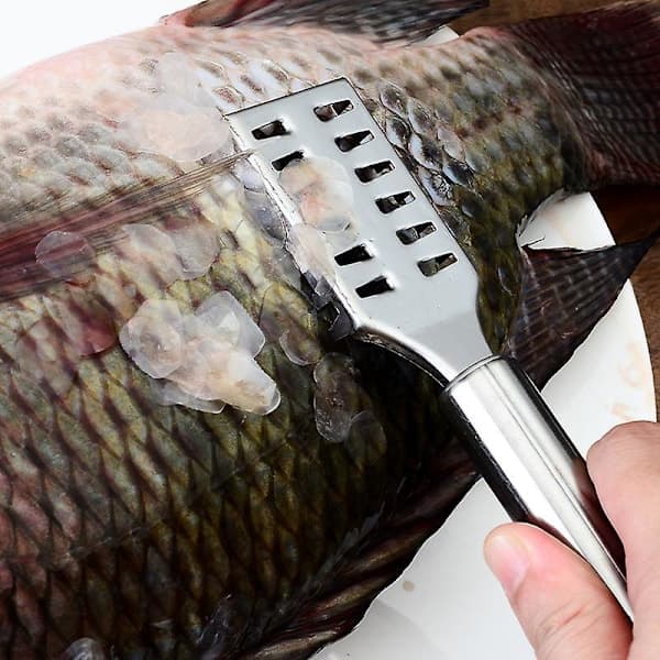Fiskeskælsskraber i rustfrit stål - Fast greb, nem fjernelse af fiskeskæl, køkkenredskab
