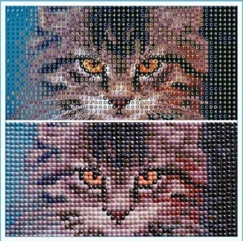 Diamantmålning Katt, 5D Diamantmålning, Kit, Kit Katt och Tiger Komplett Broderi K