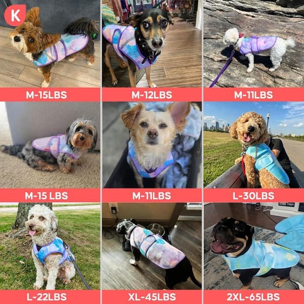 Kølevest til hunde, letvægts kølejakke til hunde, 3D ventileret mesh-skjorte til kæledyr til sommer med reflekterende stribe, sol S