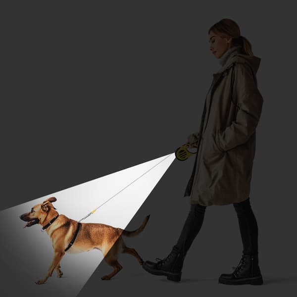 AUTOMATISK HUNDESNOR med LED-LYS 5M HURTIG OPRULNING til HUND KAT