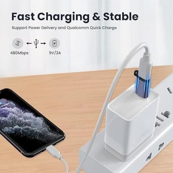 USB-adapterkit 5-pack, Typ C Micro USB till Lightning Mini-adaptrar Kompatibla med Android iOS-enheter