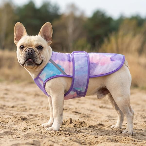 Kølevest til hunde, letvægts kølejakke til hunde, 3D ventileret mesh-skjorte til kæledyr til sommer med reflekterende stribe, sol L