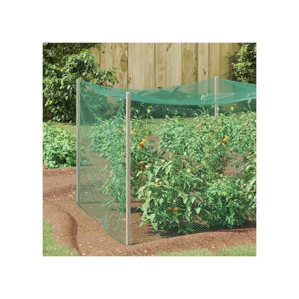 Fågelskyddsnät - vidaXL - Polyeten - 500x200 cm - Grön - Inomhus- och utomhusbruk