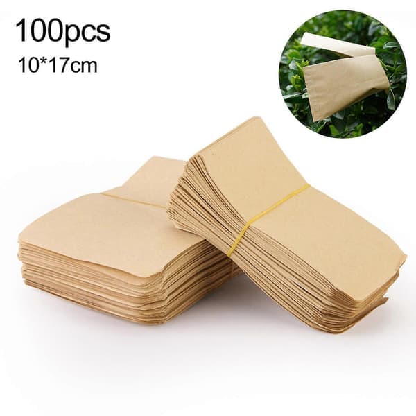 100 fröpåsar tomma fröförpackningar bulk 6*10cm Beige 10*17cm 10*17cm