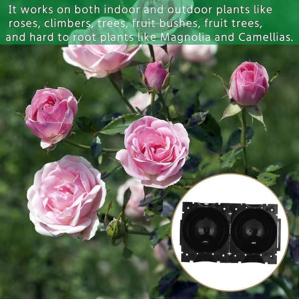 Plante rotutstyr, plante rotutstyr formeringskule poding avl 10-pakning (M)