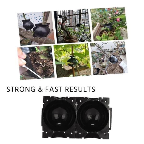 Plante rotutstyr, plante rotutstyr formeringskule poding avl 10-pakning (M)