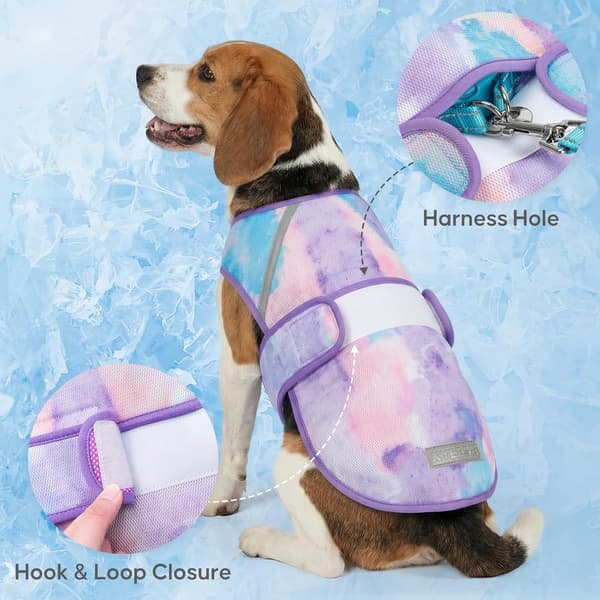 Kølevest til hunde, letvægts kølejakke til hunde, 3D ventileret mesh-skjorte til kæledyr til sommer med reflekterende stribe, sol S