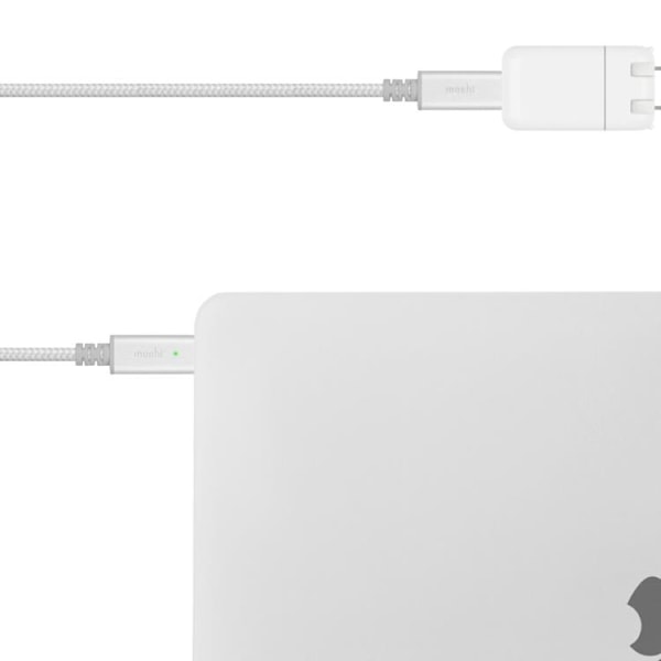 Moshi USB-C Laddningskabel Med Smart LED 2m - Silver