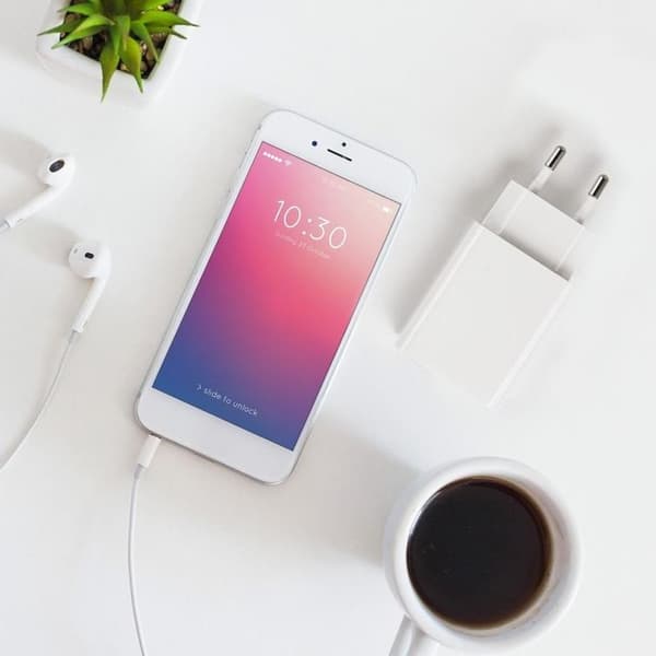 Forcell Reseladdare USB-C med Lightning Kabel 3A 20W - Vit Vit