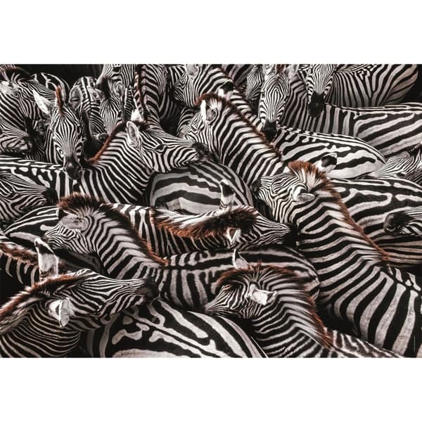 CLEMENTONI Pussel 1000 Pcs CB High Quality Collection Zebra