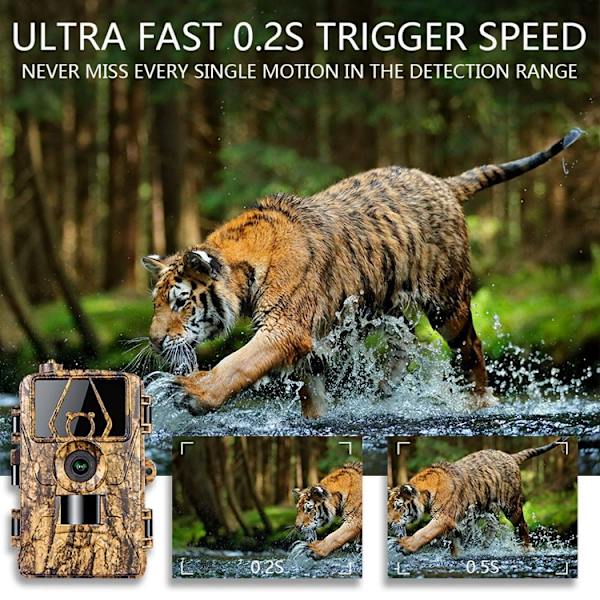 Jaktkamera 4G 60MP 8K 0.2S Vattentät PR801LTE EU-version