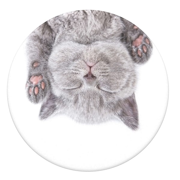 POPSOCKETS Cat Nap