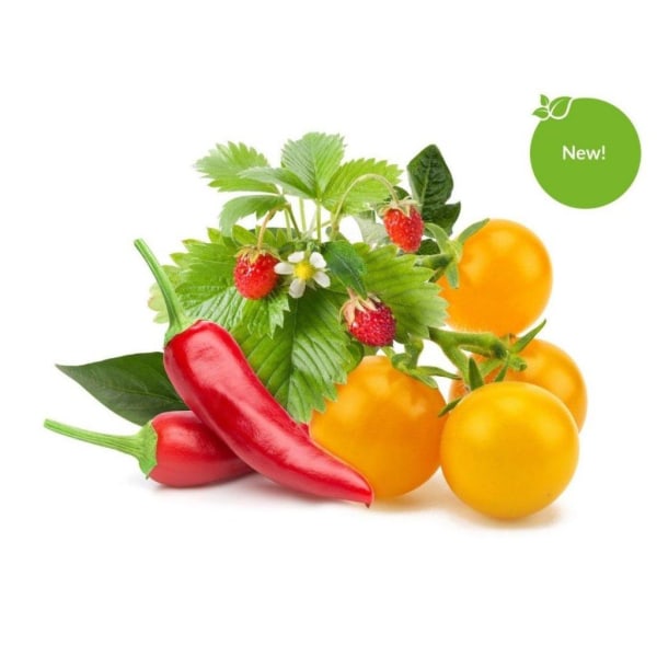 Click and Grow Smart Garden Refill 9-pack Frukt och grönsaksmix Grön