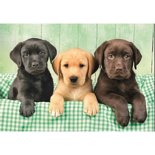 CLEMENTONI Pussel 1000 Pcs CB High Quality Collection Three Labs
