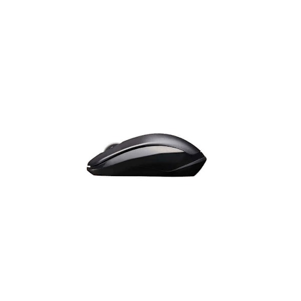 RAPOO Mouse 1620 2,4 GHz Trådløs Optisk Sort Black