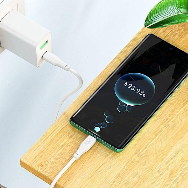 Hoco USB-C til USB-C 100W 1m 3A Kabel X93 - Hvid Vit
