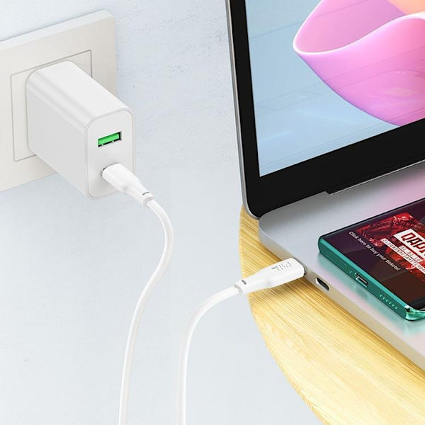 Hoco USB-C til USB-C 100W 1m 3A Kabel X93 - Hvid Vit