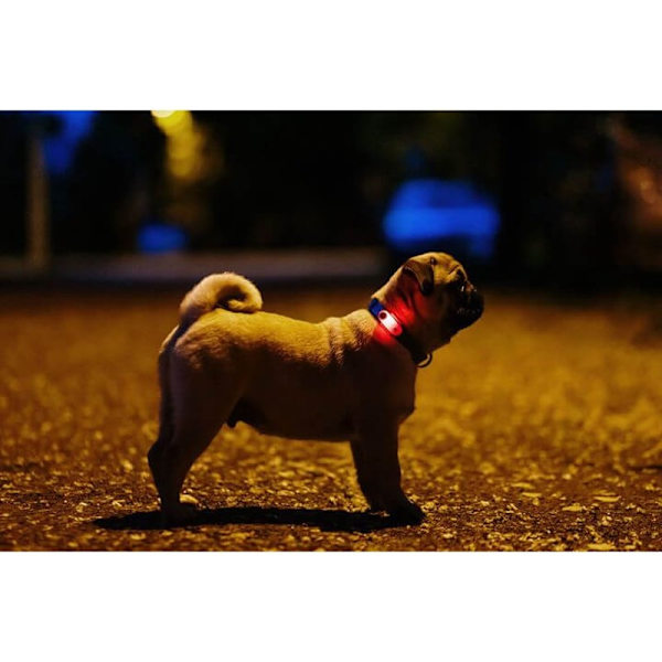 TICKLESS Fästingskydd Mini Hund