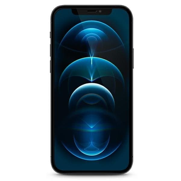 Guess Härdat Glas iPhone 12 Mini Vintage Magic Logo Transparent
