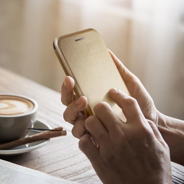 iPhone 16 Plus Plånboksfodral Elegance - Guld Guld
