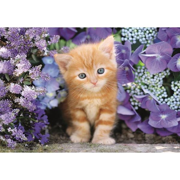 CLEMENTONI Pussel 500 Pcs CB High Quality Collection Ginger Cat