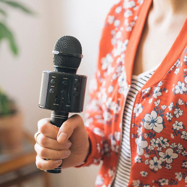 Forever Karaoke Mikrofon med Bluetooth-högtalare BMS-300 - Svart Svart