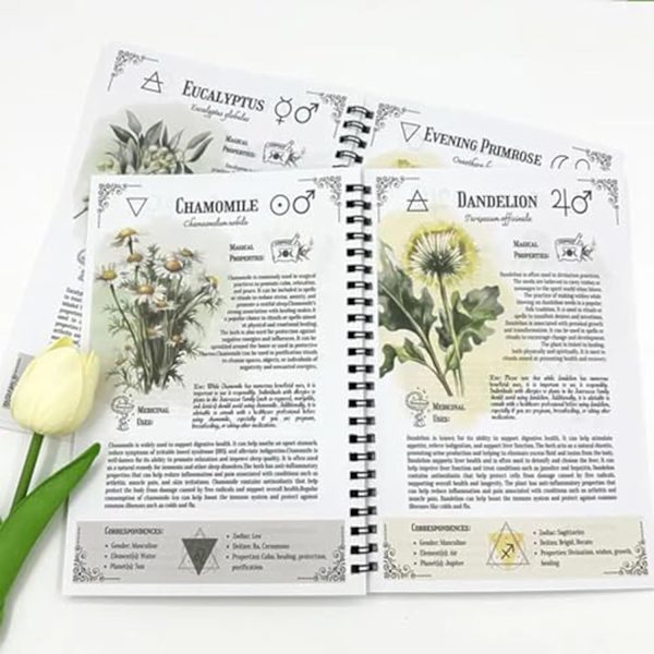 Hekseurtkodex, grøn spiralnotesbog med morter- og støderdesign, 20,8 x 8,1 tommer, botanisk tema-journal