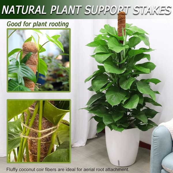 Mosstøtte til planter 120 cm, bøjelig mosstok til klatreplanter Monstera Efeu 2-pak