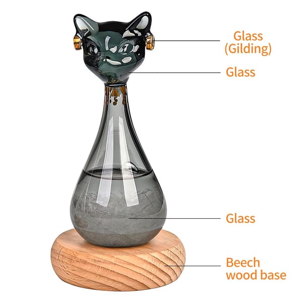 Väderglas, Stormglas Väderprognos, Kattformad Flaska Flytande Barometer Väderprognos Väderstation