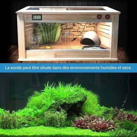 Termostat för terrarier (reptiler, ormar, sköldpaddor, ödlor, geckos) – Exakt temperaturkontroll