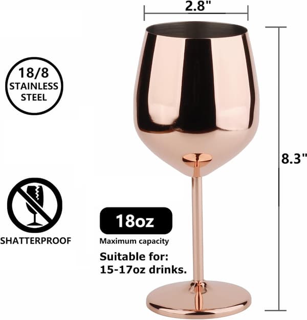 Vinglass i rustfritt stål, sett med 2