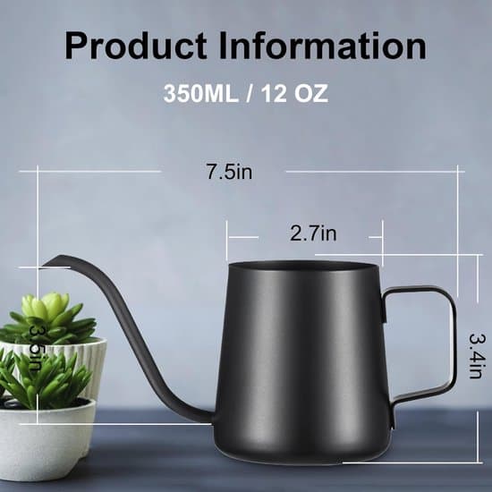 Vandkande – Sort – 350 ml – Med lang tud i rustfrit stål – Velegnet til små stueplanter, sukkulenter og havebrug