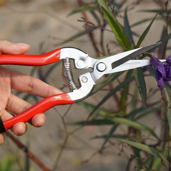 Professionel Rød Havesaks – Sekatør til Beskæring, Blomster og Grene, Rustfrit Stål, Ergonomisk og Sikker