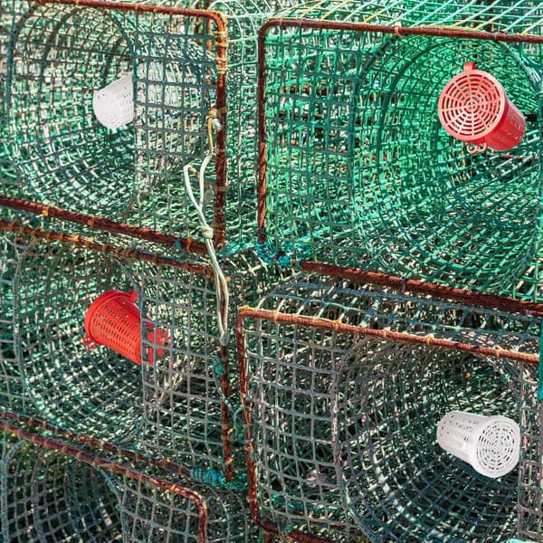 20 stk. fiskemaddingbur fælde fiskelokkemadskurv plastmadding spand til krebs rejer orm karper
