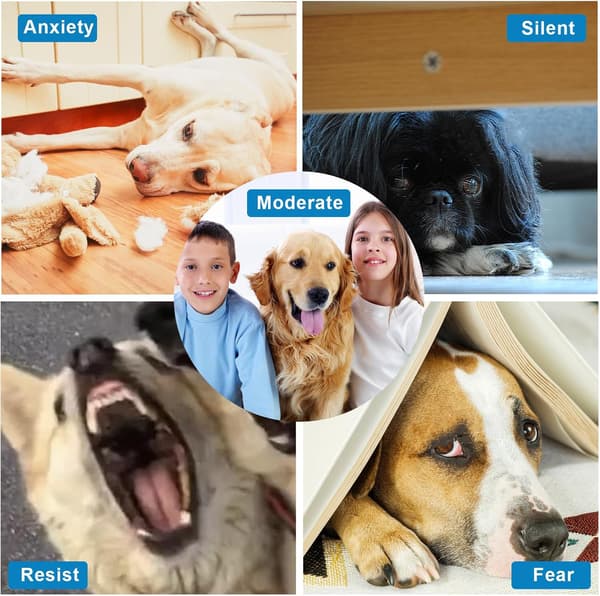 Hundklösbräda - Filttrimmerbräda för trimning och klösning med sandpapper blå