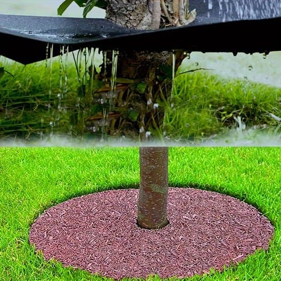 Anti-roddug - Ukrudtsresistent dug - 10 ark - Ukrudtsresistent dug til planter - Bunddække - Rund, 42 cm ydre diameter