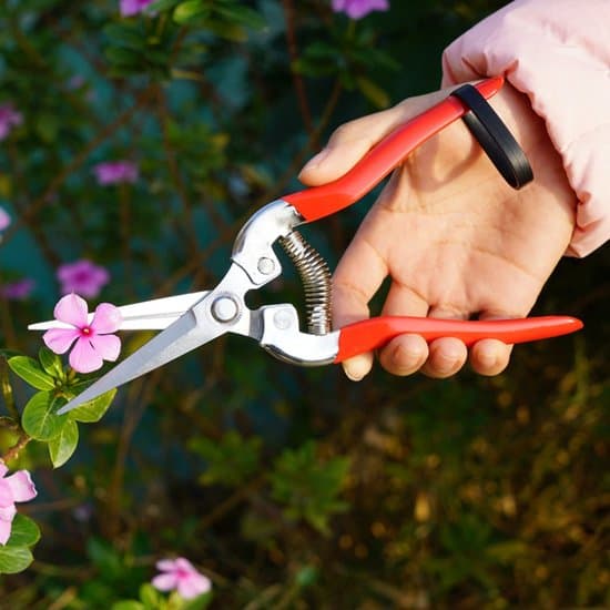 Professionel Rød Havesaks – Sekatør til Beskæring, Blomster og Grene, Rustfrit Stål, Ergonomisk og Sikker