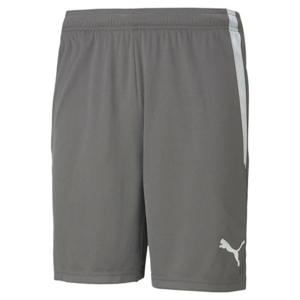 Puma Team Liga shorts - grå/vit - M - M