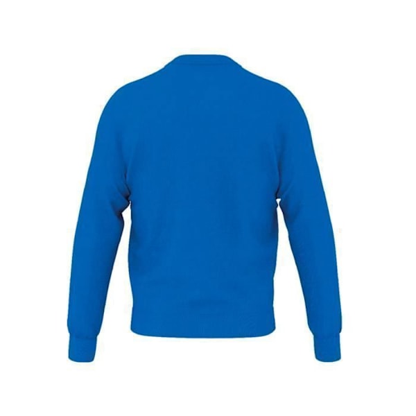 Errea skye 3.0 sweatshirt Blå S