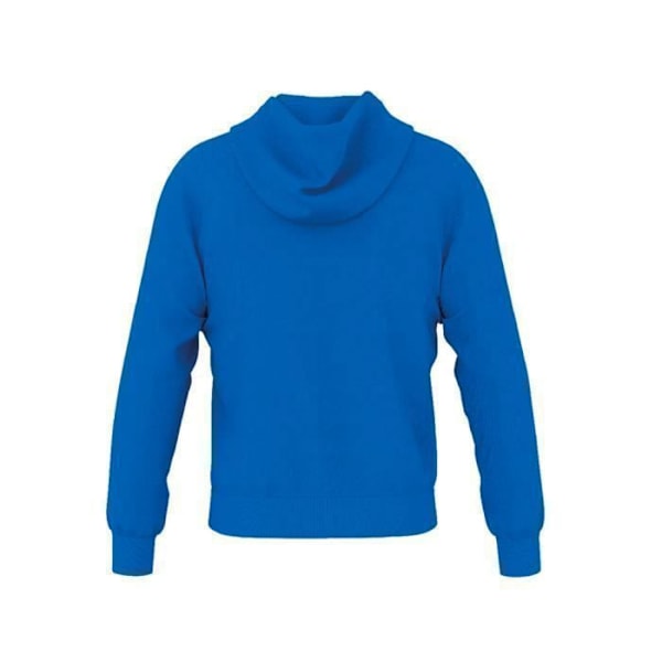 Errea warren 3.0 sweatshirt Blå XXXXL