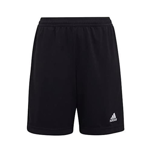 Fotbollsshorts - ADIDAS ITALIA SPA - ENT22 TR SHOY BLACK - Flerfärgad - Barn - Unisex - Andas Flerfärgad 5-6 år gammal