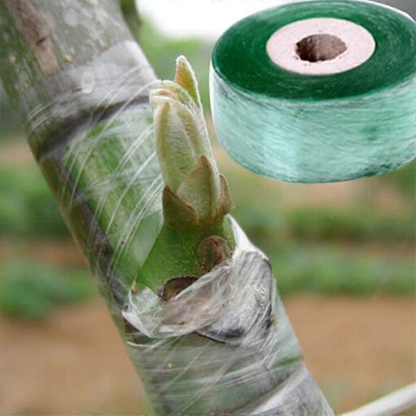 Ymptejp för växter, PVC-ymptejp för fruktträdgård, grön elastisk PVC (1 stycke 2 cm x 100 m)