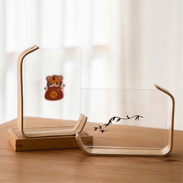 8 Tommers DIY Akryl Tre Fotoramme Herbarium Display Bilderamme med Dobbeltsidig Ramme for Bordplate Display Hjemmeinnredning, B