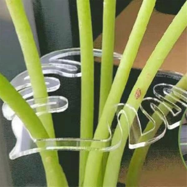 1 st Växtstjälk Plaststöd, Blomstjälkshållare, Återanvändbart Växtstöd, A